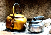 tea with the Bedouins